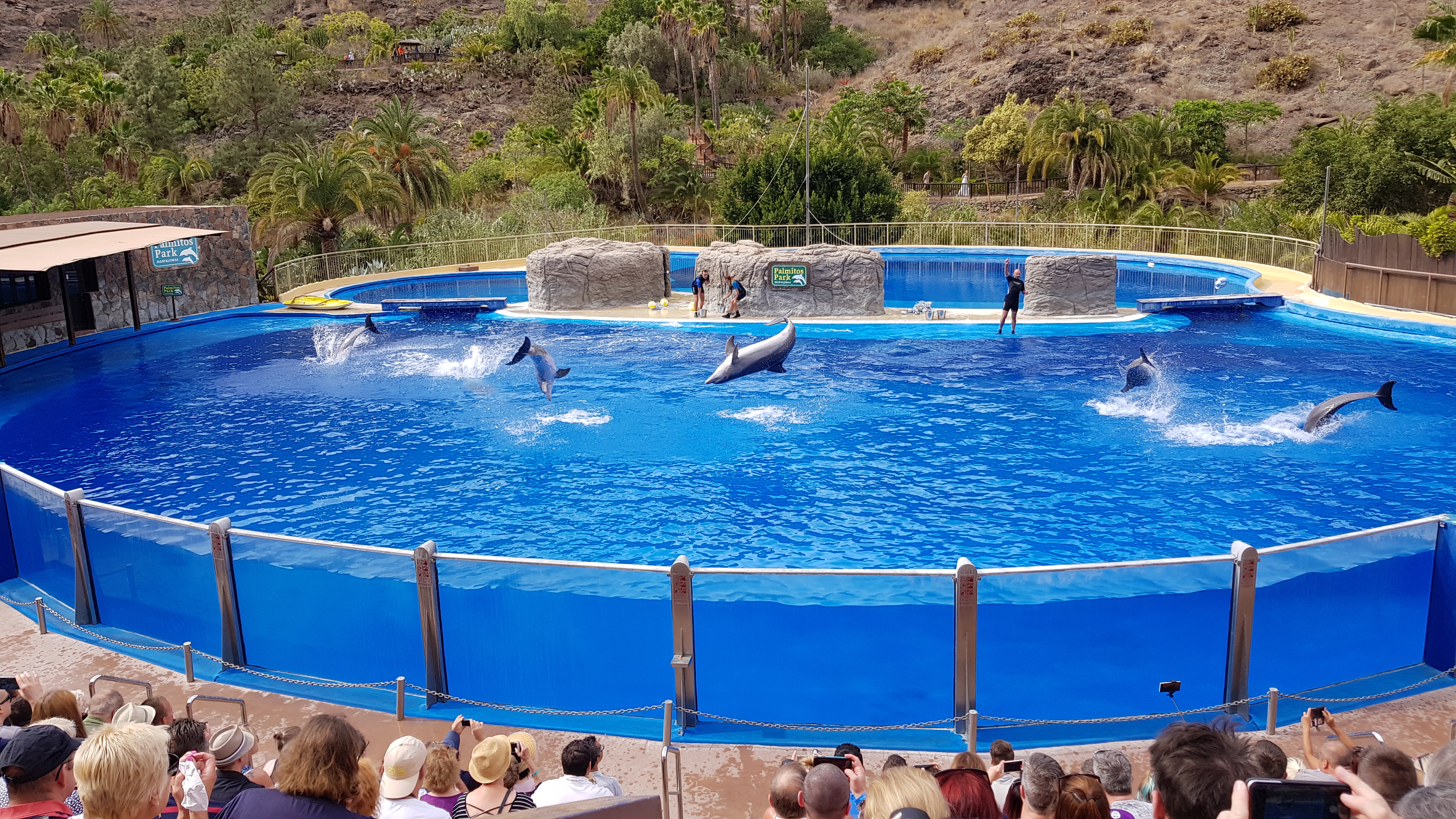 Palmitos Park Delfin-Show